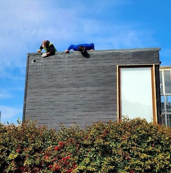 techo 4 e1756773013398